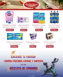 Catálogo Supermercados Romanini Página 4: Copihue - fósforos copidue 10 cajitas €1.390,00, Ge - cloro gel impeke €1.290,00