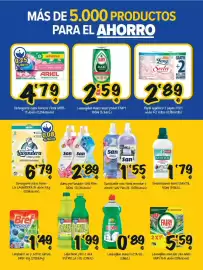 Folleto Cash Fresh Página 14: San suavizante conc floral €1,55, San perfumador para ropa €2,89