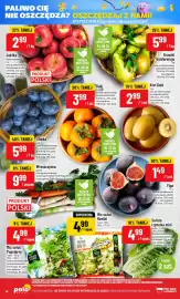 Polomarket gazetka tydzień 42 Strona 14: Kaki €3,99, Kiwi Gold €2,99