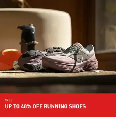 Intersport (valid until 25-10)