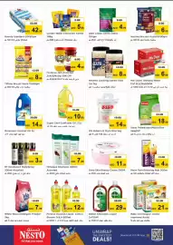 Nesto catalogue Page 3