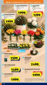 ALDI akciós újság hét 42 Oldal 36