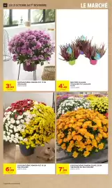 Catalogue Intermarché Hyper page 16: Florfair Bruyère Calluna €4,49, CHRYsanthème Pompon €6,99