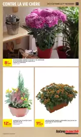 Catalogue Intermarché Hyper page 17: LA COMPOSITION €12,99, LA JARDINIÈRE CHRYsanthème pompon €11,99