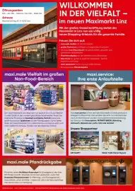 Maximarkt Flugblatt woche 42 Seite 6