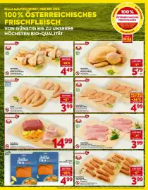 Billa Corso Flugblatt woche 42 Seite 7
