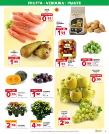 Volantino Iperal Pagina 5: Crisantemo €2,59, Patata di Bologna DOP €1,95