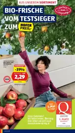 Hofer Flugblatt woche 42 Seite 12: Bio-Äpfel aus Österreich €2,29