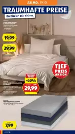 Hofer Flugblatt woche 42 Seite 42: Frottee Spannleintuch €7,99, Novitesse Schafwoll Zirbenflocken Polster €19,99