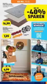 Hofer Flugblatt woche 42 Seite 43: Home Creation Kokos-Fußmatte €6,99, Home Creation Teddy-Fleece-Teppich €14,99