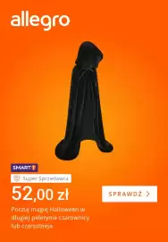 Allegro gazetka tydzień 42 Strona 4: Długa peleryna czarownicy €52,00