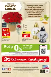 Auchan gazetka tydzień 42 Strona 45