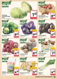 Maximarkt Flugblatt woche 42 Seite 5: Eferdinger Rotkraut €9,99, Eferdinger Rettich €4,99