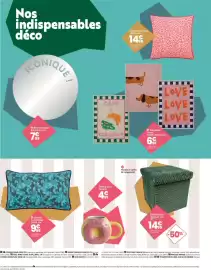 Catalogue Conforama page 20: Coussin Leona €14,99, Toile Mims €6,99