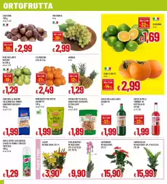 Volantino Galassia superstore Pagina 4: Pere William's Vassoio €1,29, Clementine €2,49