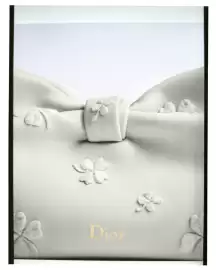Folleto Dior Página 2