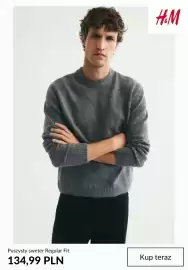 H&M gazetka tydzień 42 Strona 2: Puszysty sweter Regular Fit H & M €134,99