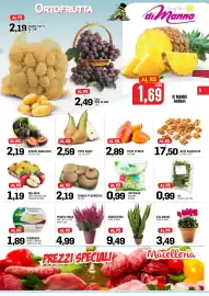 Volantino Al Discount Pagina 5: Sanseveria €9,49, Ortomad iceberg €0,99