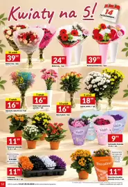 Twój Market gazetka tydzień 42 Strona 12: Violeta Saintpaulia doniczk €9,99, Bukiet premium mix €39,99