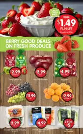Spudshed catalogue week 42 Page 5: Homestyle Salad Varieties €4,99, Juicing Apples €4,99