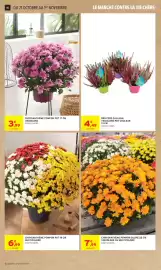 Catalogue Intermarché Contact page 10: CHRYsanthème Pompon €6,99, Florfair BRUYÈRE CALLUNA €4,49