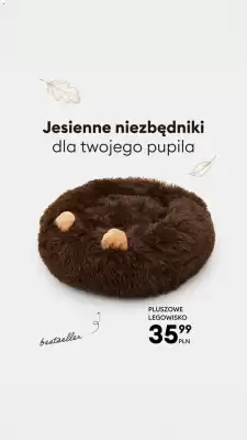 Sinsay (ważność do 14-10)