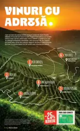 Catalog Mega Image | Alcool Pagină 4