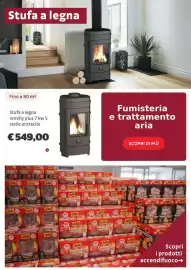 Volantino Bricocenter Pagina 13: Stufa a legna remilly plus €549,00