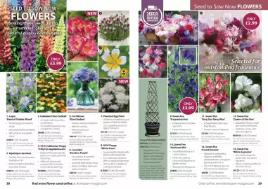 Thompson & Morgan catalogue Page 20