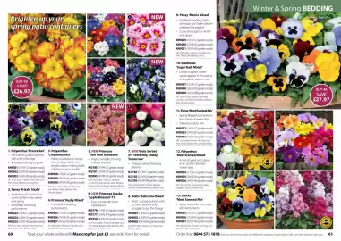 Thompson & Morgan catalogue Page 31