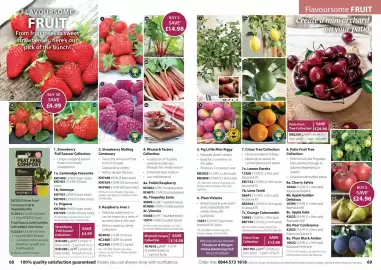 Thompson & Morgan catalogue Page 35