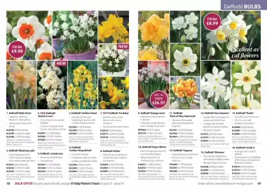 Thompson & Morgan catalogue Page 10