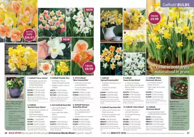 Thompson & Morgan catalogue Page 11
