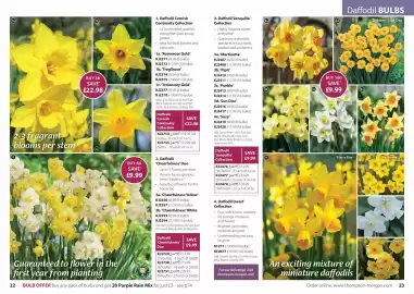 Thompson & Morgan catalogue Page 12