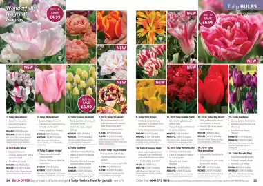 Thompson & Morgan catalogue Page 13
