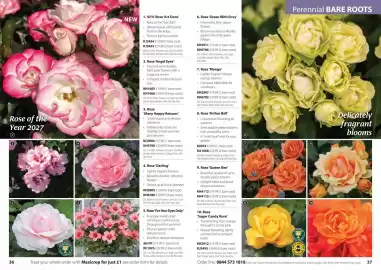 Thompson & Morgan catalogue Page 19