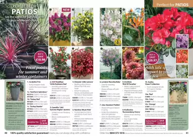Thompson & Morgan catalogue Page 21