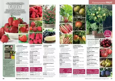 Thompson & Morgan catalogue Page 26