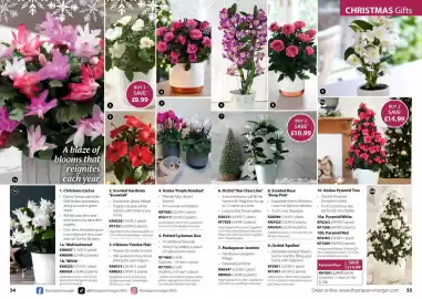 Thompson & Morgan catalogue Page 28