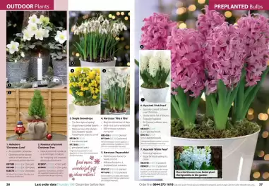 Thompson & Morgan catalogue Page 29