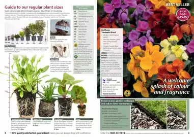 Thompson & Morgan catalogue Page 3
