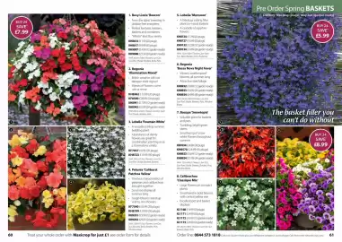 Thompson & Morgan catalogue Page 31