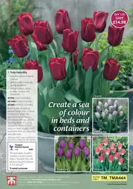Thompson & Morgan catalogue Page 41