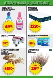Nelins reklamblad vecka 42 Sida 9: Pandy toalettpapper €39,90, Finish maskindisktabletter €89,00