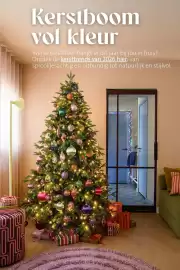 Intratuin folder | Kerst Pagina 10: THING -DAY BOWLS Kerstboom vol kleur Welke kerstsfeer hangt er dit jaar bij jou in huis?