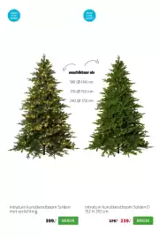 Intratuin folder | Kerst Pagina 11