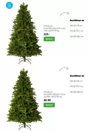 Intratuin folder | Kerst Pagina 12
