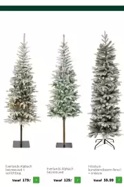 Intratuin folder | Kerst Pagina 17