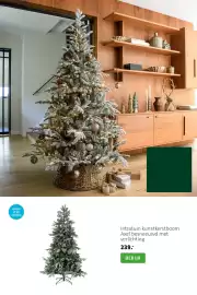 Intratuin folder | Kerst Pagina 20