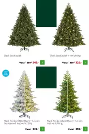 Intratuin folder | Kerst Pagina 24